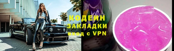 индика Аркадак