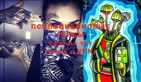 a pvp Арсеньев