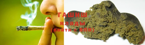 индика Аркадак