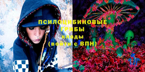 индика Аркадак