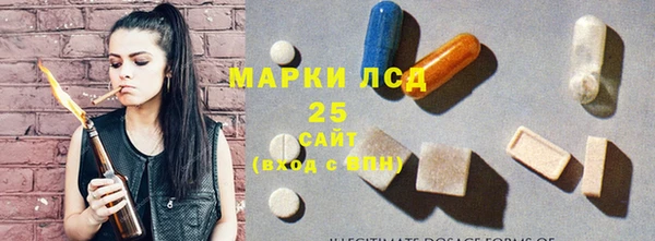 индика Аркадак