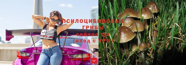 a pvp Арсеньев