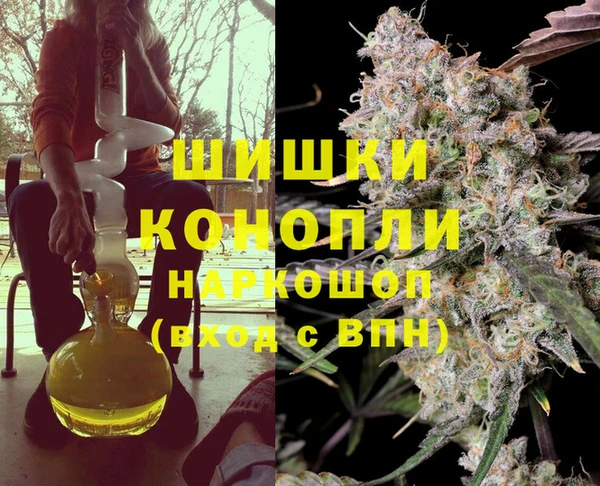 индика Аркадак