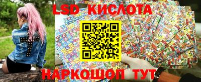 крисы Бийск