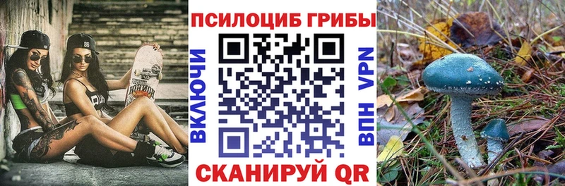 Галлюциногенные грибы Cubensis  цены наркотик  Горячий Ключ 