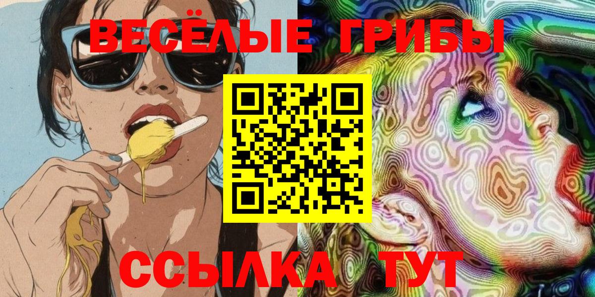 Галлюциногенные грибы Cubensis Горячий Ключ