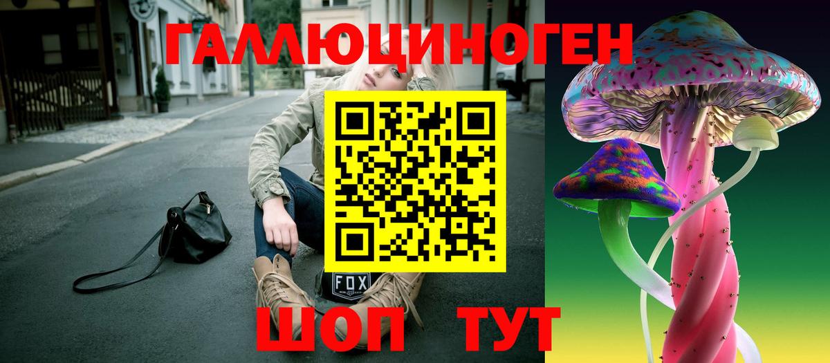 Псилоцибиновые грибы Cubensis  купить наркоту  Горячий Ключ  Галлюциногенные грибы Psilocybe 